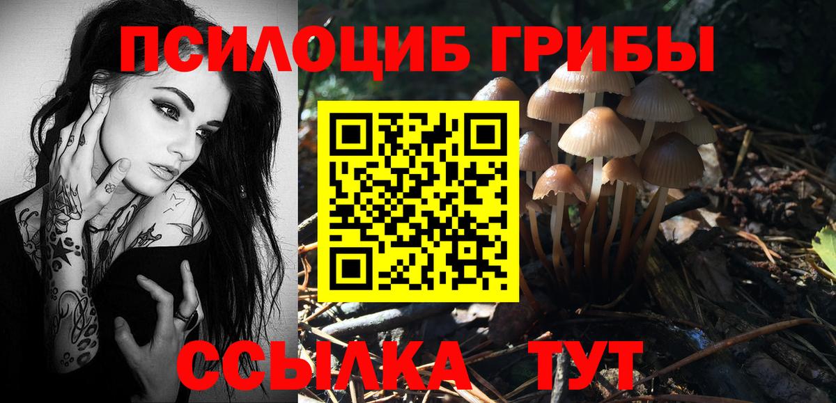 Псилоцибиновые грибы Cubensis  Вход с VPN  Псилоцибиновые грибы GOLDEN TEACHER  Альметьевск 