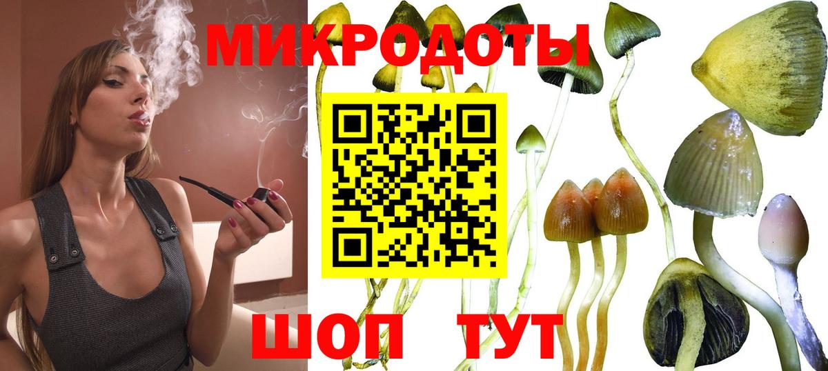 Псилоцибиновые грибы Psilocybe Альметьевск